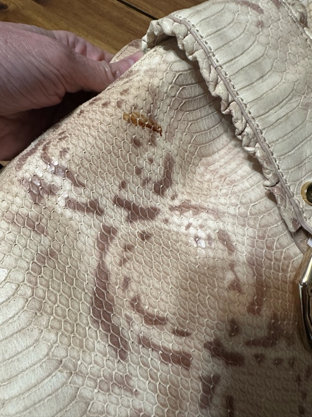 Elaine Turner Beige Leather Snake-Print Shoulder Bag with Gold Ring - Picture 7 of 10
